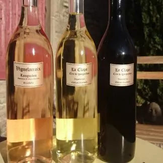 Château Ricardelle - Vigne la Croix