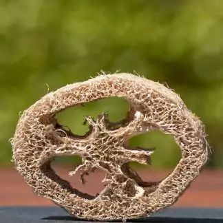 Seifenablage aus Luffa